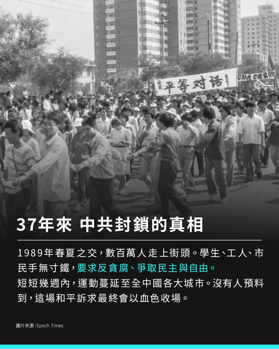 8935ae6b-d71f-4745-a7b1-9c41302f3648.jpg